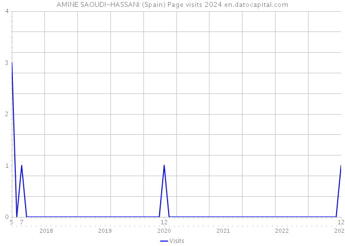 AMINE SAOUDI-HASSANI (Spain) Page visits 2024 