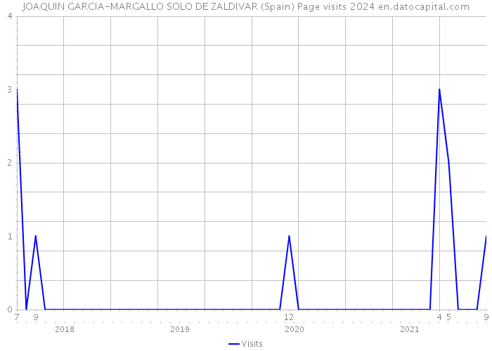 JOAQUIN GARCIA-MARGALLO SOLO DE ZALDIVAR (Spain) Page visits 2024 