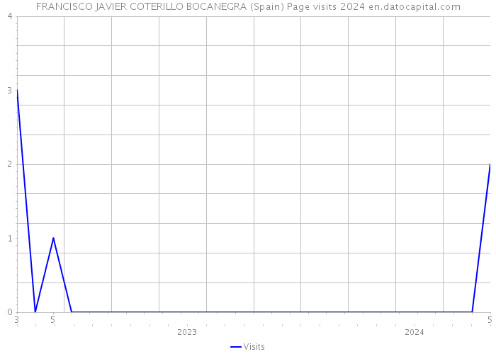 FRANCISCO JAVIER COTERILLO BOCANEGRA (Spain) Page visits 2024 