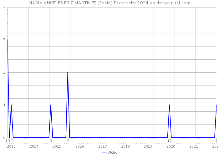 MARIA ANGELES BRIZ MARTINEZ (Spain) Page visits 2024 