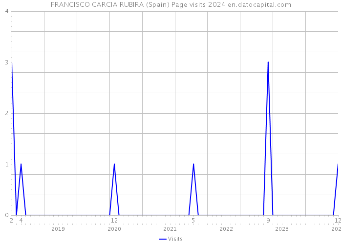 FRANCISCO GARCIA RUBIRA (Spain) Page visits 2024 
