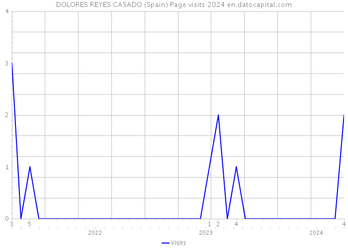 DOLORES REYES CASADO (Spain) Page visits 2024 