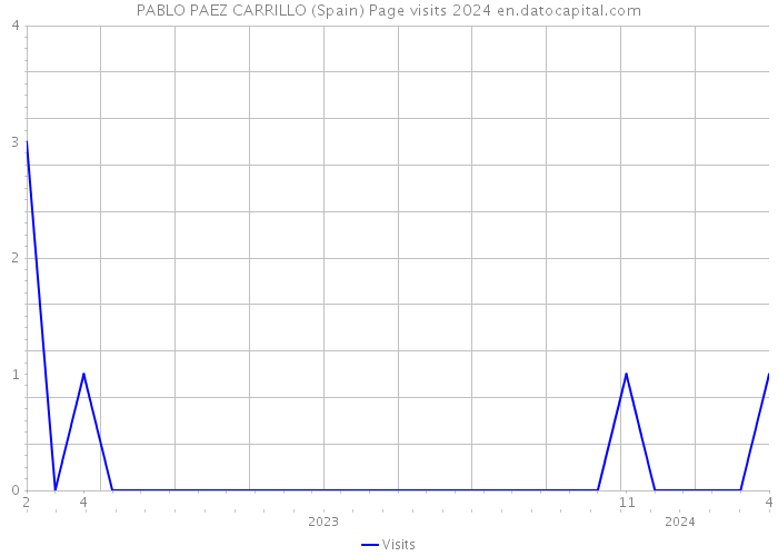 PABLO PAEZ CARRILLO (Spain) Page visits 2024 