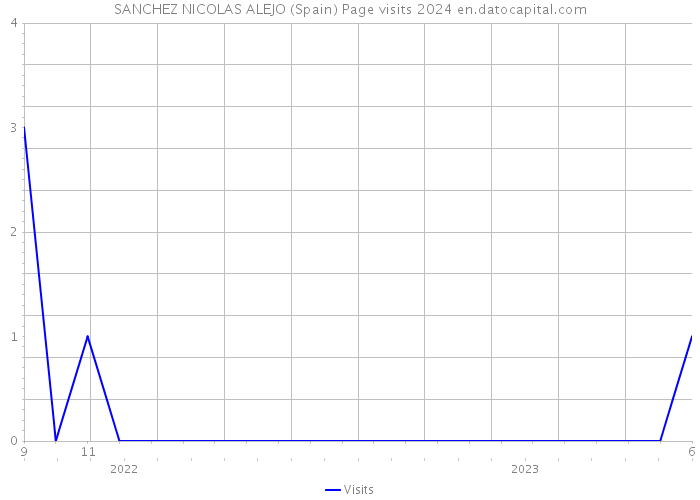 SANCHEZ NICOLAS ALEJO (Spain) Page visits 2024 
