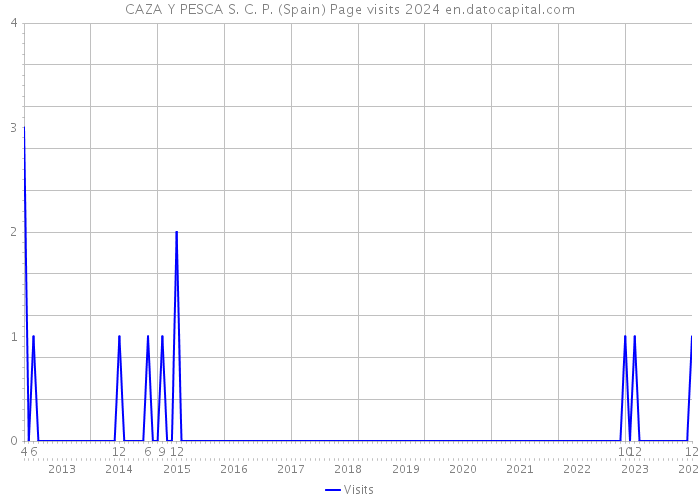 CAZA Y PESCA S. C. P. (Spain) Page visits 2024 