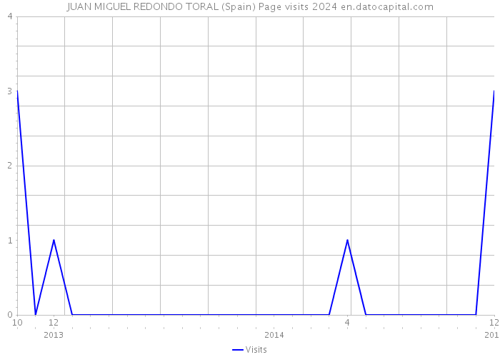 JUAN MIGUEL REDONDO TORAL (Spain) Page visits 2024 