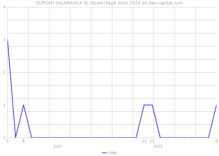 DURSAN SALAMANCA SL (Spain) Page visits 2024 