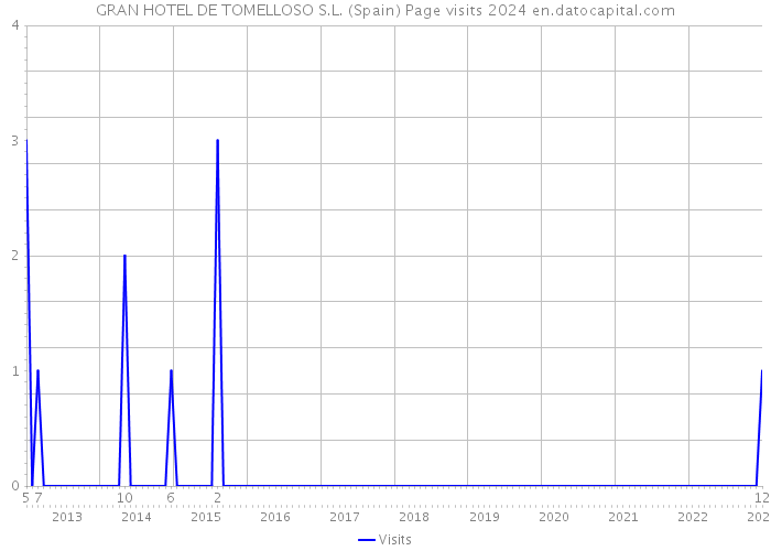 GRAN HOTEL DE TOMELLOSO S.L. (Spain) Page visits 2024 