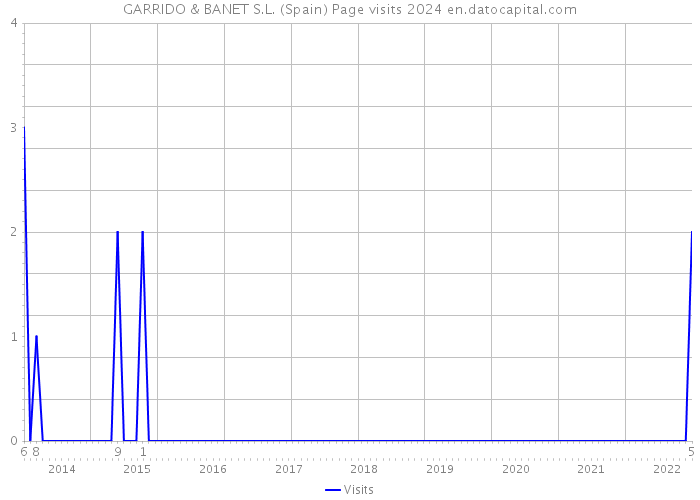 GARRIDO & BANET S.L. (Spain) Page visits 2024 