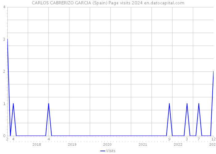 CARLOS CABRERIZO GARCIA (Spain) Page visits 2024 