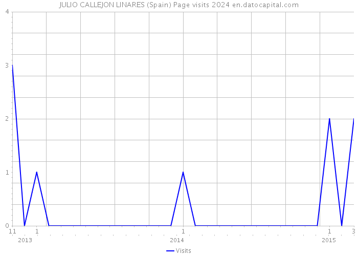 JULIO CALLEJON LINARES (Spain) Page visits 2024 