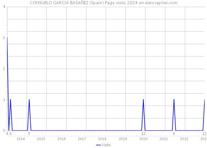 CONSUELO GARCIA BASAÑEZ (Spain) Page visits 2024 