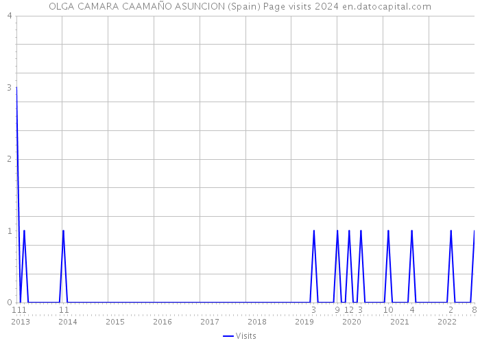 OLGA CAMARA CAAMAÑO ASUNCION (Spain) Page visits 2024 