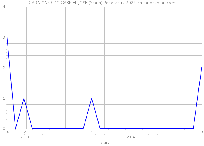 CARA GARRIDO GABRIEL JOSE (Spain) Page visits 2024 
