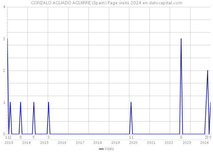 GONZALO AGUADO AGUIRRE (Spain) Page visits 2024 