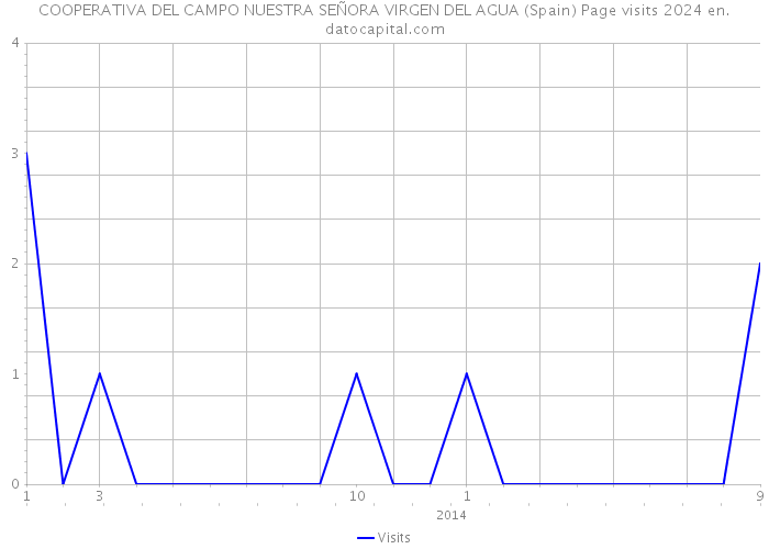 COOPERATIVA DEL CAMPO NUESTRA SEÑORA VIRGEN DEL AGUA (Spain) Page visits 2024 