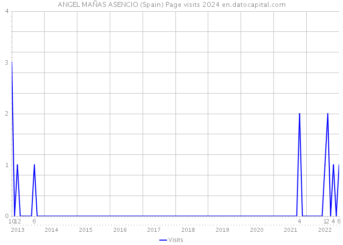 ANGEL MAÑAS ASENCIO (Spain) Page visits 2024 