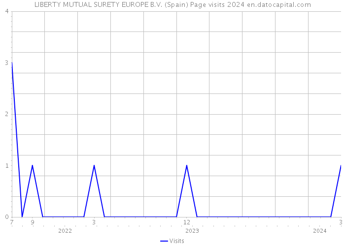 LIBERTY MUTUAL SURETY EUROPE B.V. (Spain) Page visits 2024 