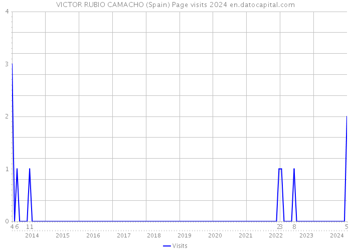 VICTOR RUBIO CAMACHO (Spain) Page visits 2024 