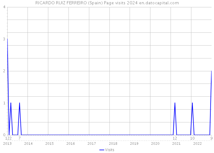 RICARDO RUIZ FERREIRO (Spain) Page visits 2024 