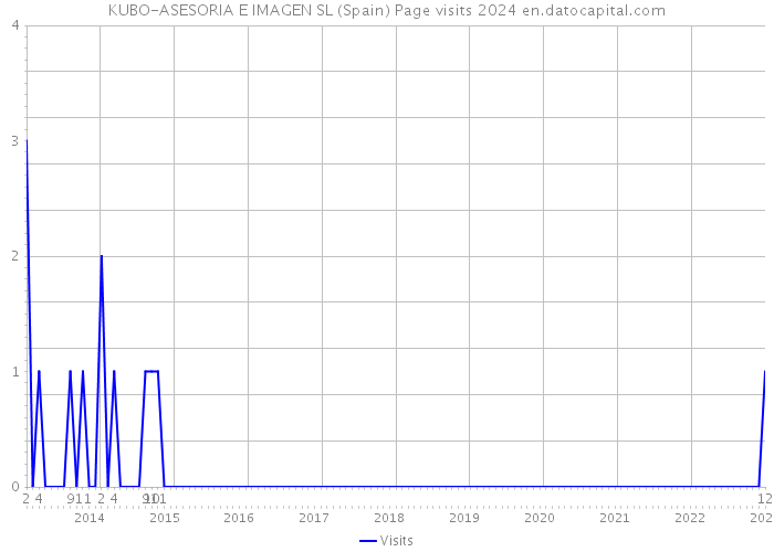 KUBO-ASESORIA E IMAGEN SL (Spain) Page visits 2024 