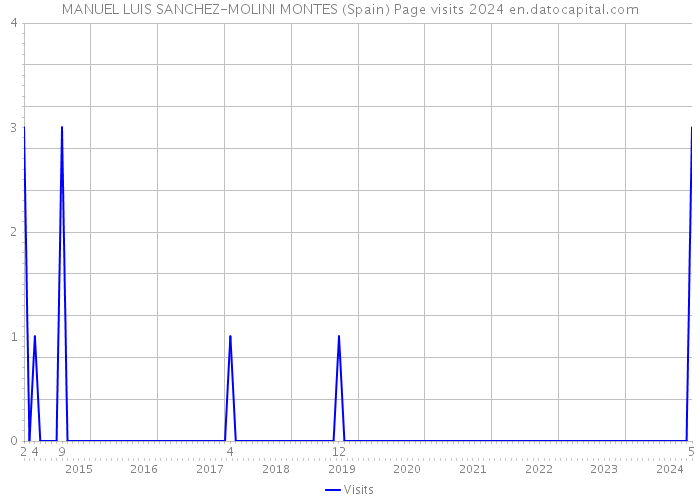 MANUEL LUIS SANCHEZ-MOLINI MONTES (Spain) Page visits 2024 