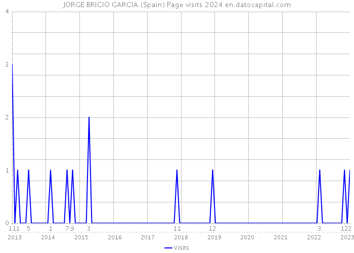 JORGE BRICIO GARCIA (Spain) Page visits 2024 
