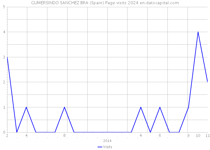 GUMERSINDO SANCHEZ BRA (Spain) Page visits 2024 