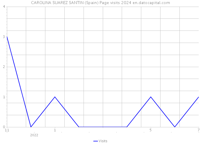 CAROLINA SUAREZ SANTIN (Spain) Page visits 2024 