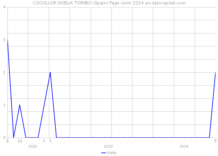 COGOLLOR NOELIA TORIBIO (Spain) Page visits 2024 