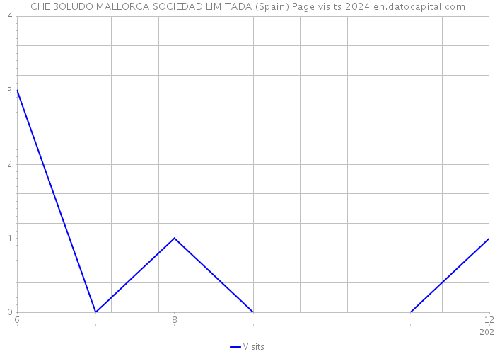 CHE BOLUDO MALLORCA SOCIEDAD LIMITADA (Spain) Page visits 2024 