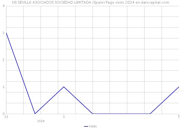 NS SEVILLA ASOCIADOS SOCIEDAD LIMITADA (Spain) Page visits 2024 