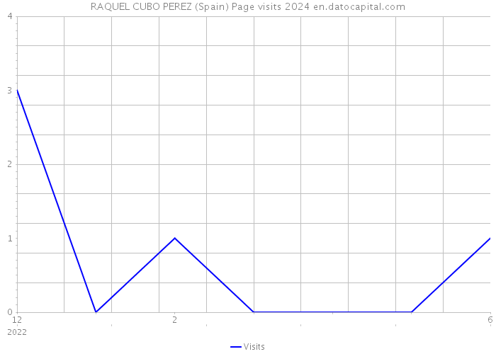 RAQUEL CUBO PEREZ (Spain) Page visits 2024 