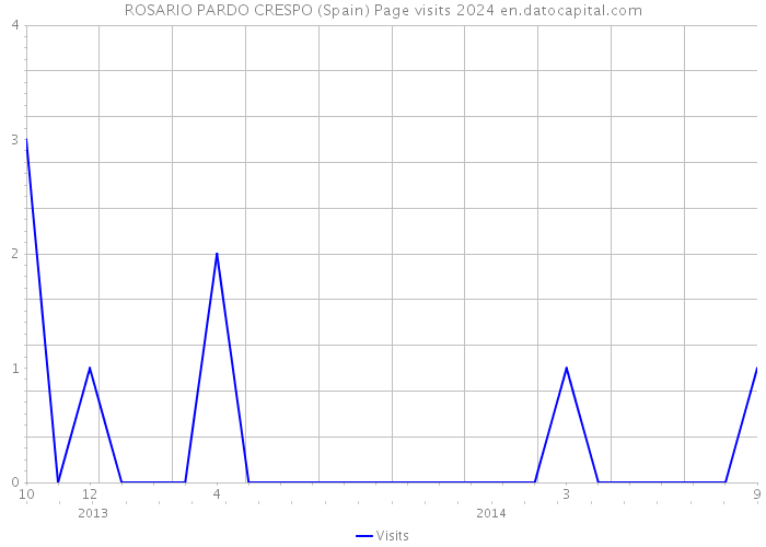 ROSARIO PARDO CRESPO (Spain) Page visits 2024 