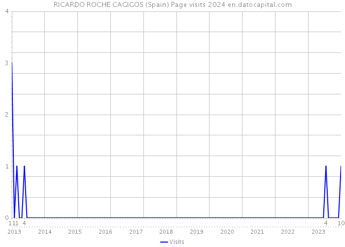 RICARDO ROCHE CAGIGOS (Spain) Page visits 2024 