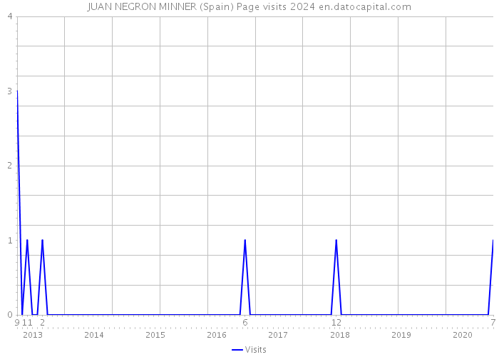 JUAN NEGRON MINNER (Spain) Page visits 2024 