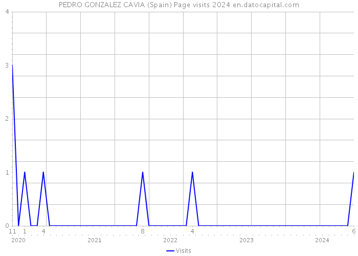 PEDRO GONZALEZ CAVIA (Spain) Page visits 2024 
