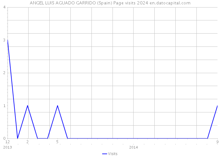ANGEL LUIS AGUADO GARRIDO (Spain) Page visits 2024 