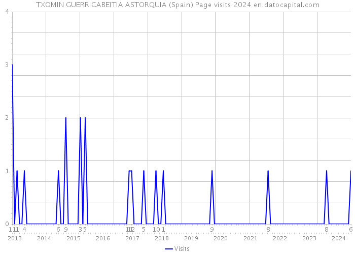 TXOMIN GUERRICABEITIA ASTORQUIA (Spain) Page visits 2024 