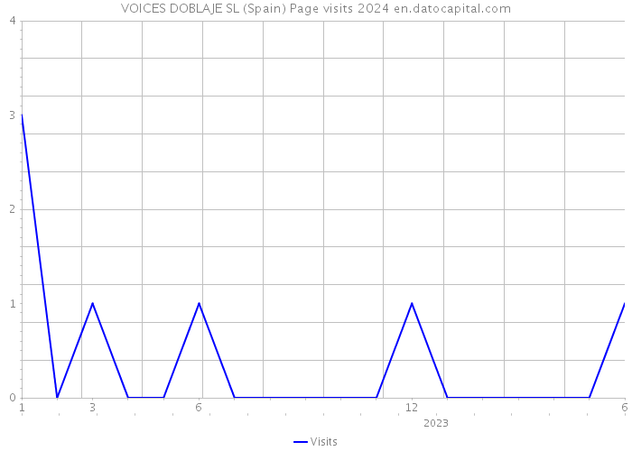 VOICES DOBLAJE SL (Spain) Page visits 2024 