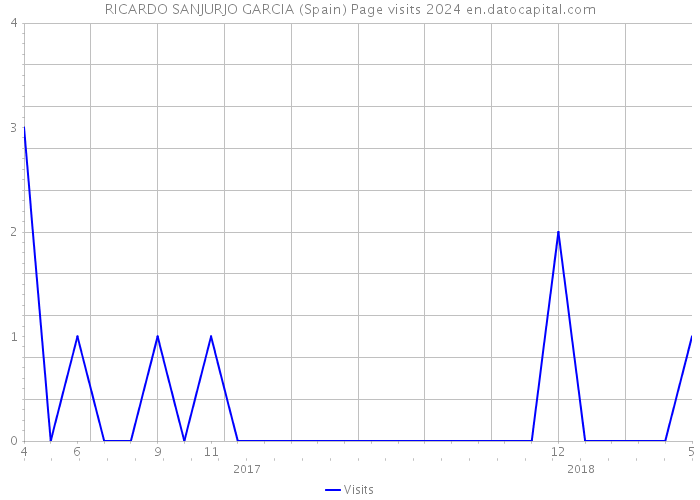 RICARDO SANJURJO GARCIA (Spain) Page visits 2024 