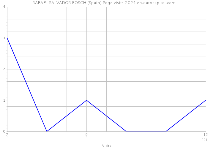 RAFAEL SALVADOR BOSCH (Spain) Page visits 2024 