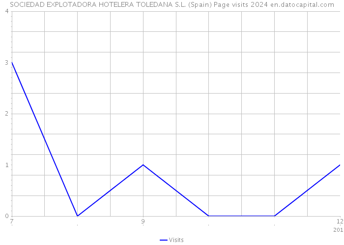 SOCIEDAD EXPLOTADORA HOTELERA TOLEDANA S.L. (Spain) Page visits 2024 