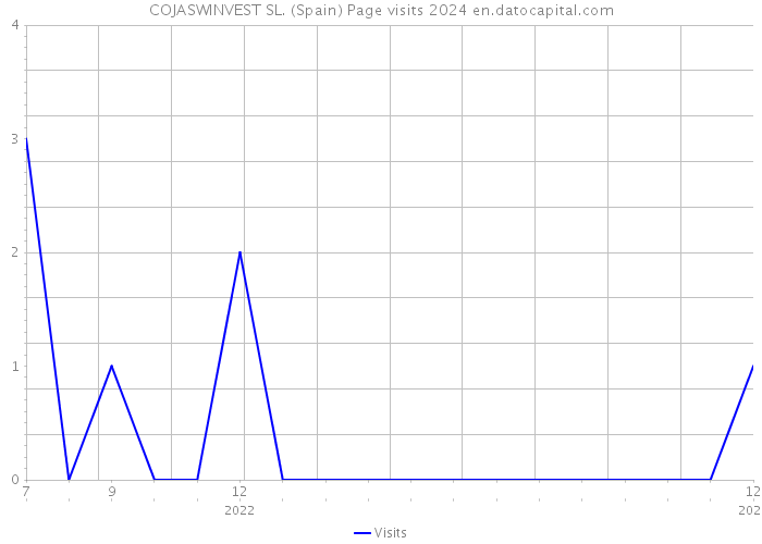 COJASWINVEST SL. (Spain) Page visits 2024 