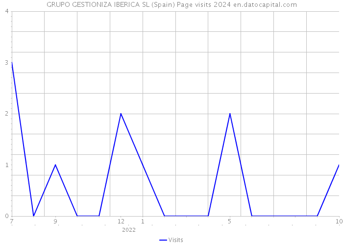 GRUPO GESTIONIZA IBERICA SL (Spain) Page visits 2024 