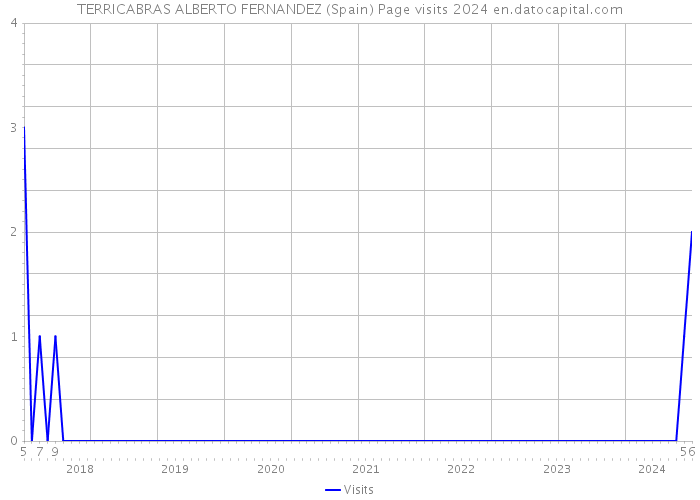 TERRICABRAS ALBERTO FERNANDEZ (Spain) Page visits 2024 