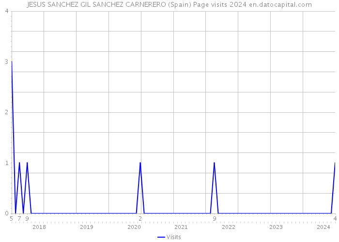 JESUS SANCHEZ GIL SANCHEZ CARNERERO (Spain) Page visits 2024 