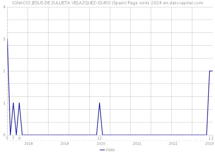 IGNACIO JESUS DE ZULUETA VELAZQUEZ-DURO (Spain) Page visits 2024 