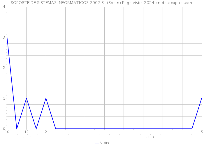 SOPORTE DE SISTEMAS INFORMATICOS 2002 SL (Spain) Page visits 2024 