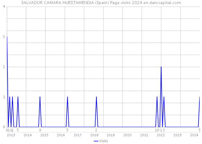 SALVADOR CAMARA HUESTAMENDIA (Spain) Page visits 2024 